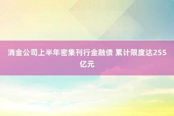 消金公司上半年密集刊行金融债 累计限度达255亿元