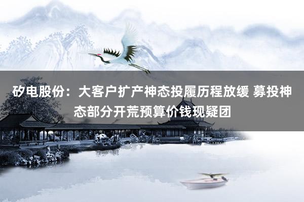 矽电股份：大客户扩产神态投履历程放缓 募投神态部分开荒预算价钱现疑团