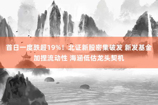 首日一度跌超19%！北证新股密集破发 新发基金加捏流动性 海涵低估龙头契机