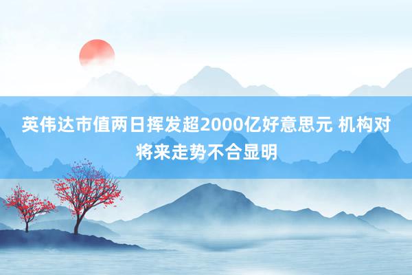 英伟达市值两日挥发超2000亿好意思元 机构对将来走势不合显明