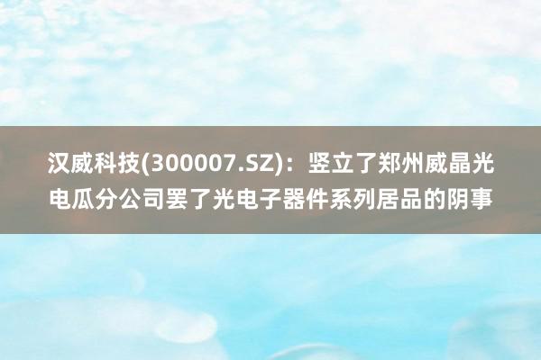 汉威科技(300007.SZ)：竖立了郑州威晶光电瓜分公司罢了光电子器件系列居品的阴事