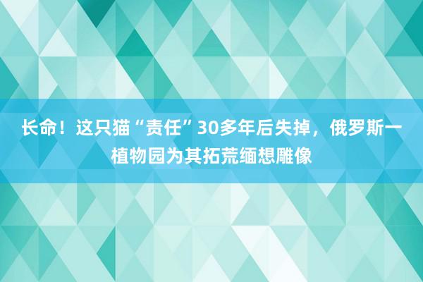 长命！这只猫“责任”30多年后失掉，俄罗斯一植物园为其拓荒缅想雕像