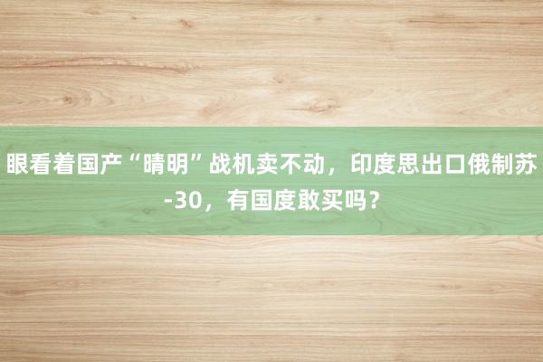 眼看着国产“晴明”战机卖不动，印度思出口俄制苏-30，有国度敢买吗？