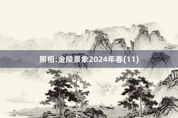 照相:金陵景象2024年春(11)