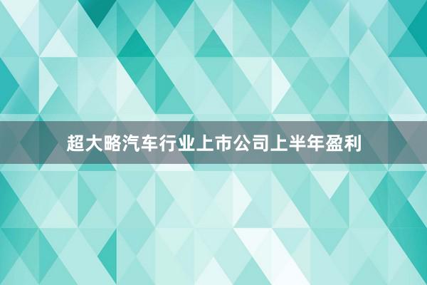 超大略汽车行业上市公司上半年盈利