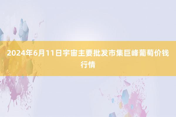 2024年6月11日宇宙主要批发市集巨峰葡萄价钱行情