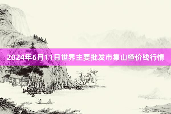 2024年6月11日世界主要批发市集山楂价钱行情