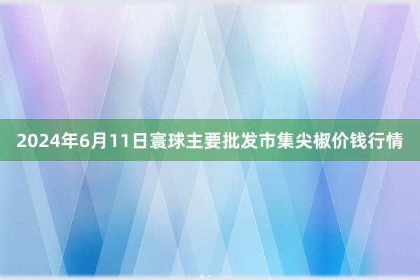 2024年6月11日寰球主要批发市集尖椒价钱行情