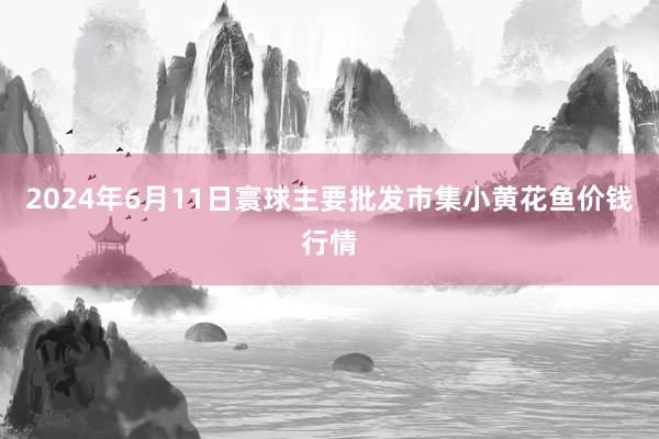 2024年6月11日寰球主要批发市集小黄花鱼价钱行情