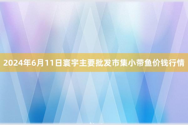 2024年6月11日寰宇主要批发市集小带鱼价钱行情