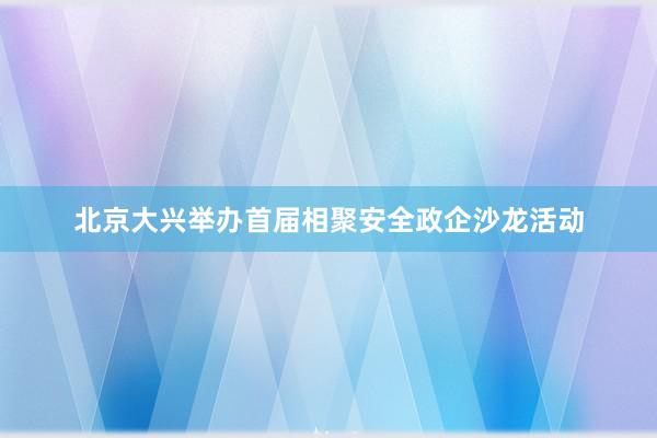 北京大兴举办首届相聚安全政企沙龙活动