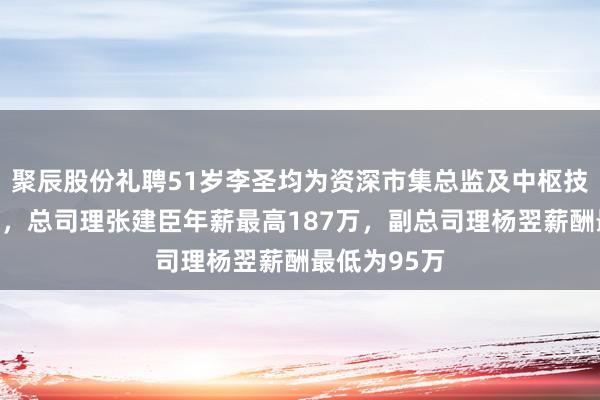 聚辰股份礼聘51岁李圣均为资深市集总监及中枢技艺东谈主员，总司理张建臣年薪最高187万，副总司理杨翌薪酬最低为95万