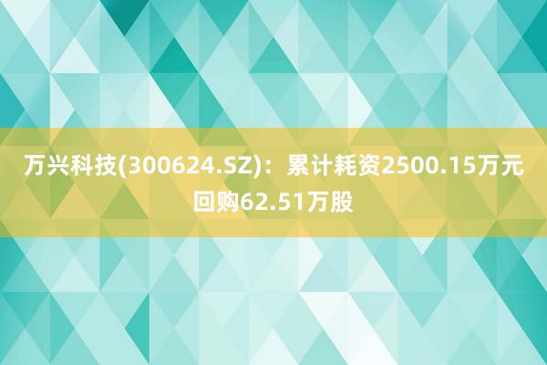 万兴科技(300624.SZ)：累计耗资2500.15万元回购62.51万股