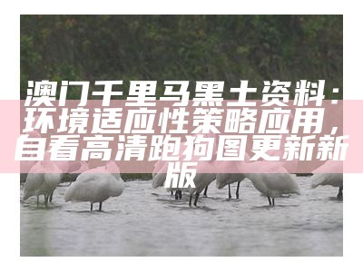 澳门千里马黑土资料：环境适应性策略应用，自看高清跑狗图更新新版