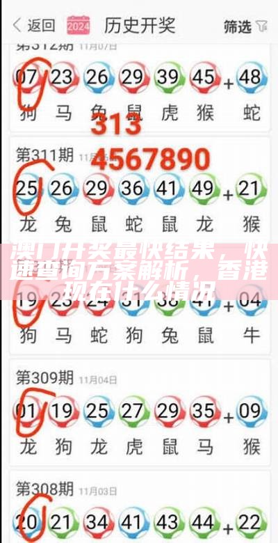 澳门开奖记录表本及结果预测解析，澳门157期资料