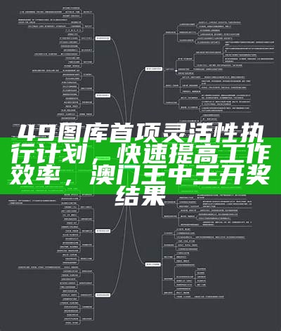 49图库首项灵活性执行计划，快速提高工作效率，澳门王中王开奖结果