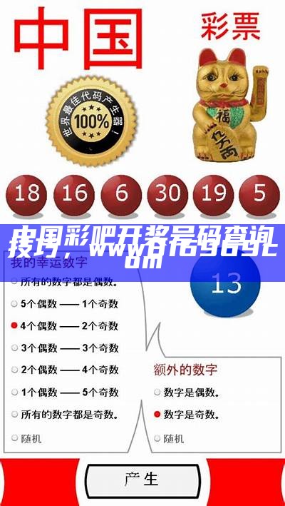 中国彩吧开奖号码查询技巧，www816969com